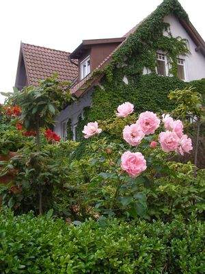 single-family-home-2142476_1920