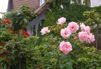 single-family-home-2142476_1920