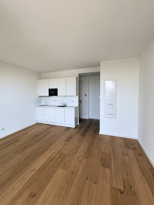 Wohnzimmer mit Einbauküche