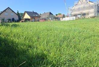 Das Baugrundstück für Ihr neues zu Hause.jpg