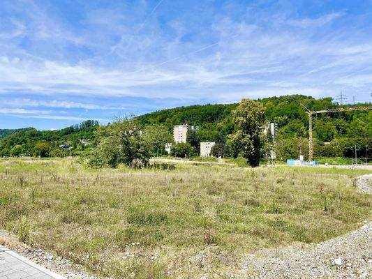Baugrundstück im Kappelenbach