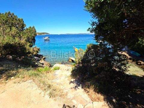 Solta Bauernhöfe, Landwirtschaft, Solta Forstwirtschaft