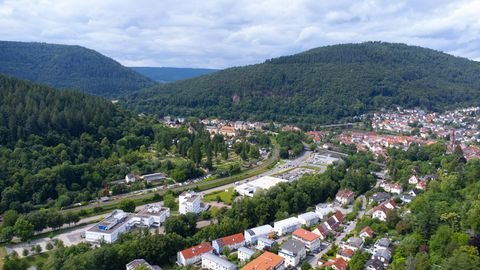 Neckargemünd Grundstücke, Neckargemünd Grundstück kaufen