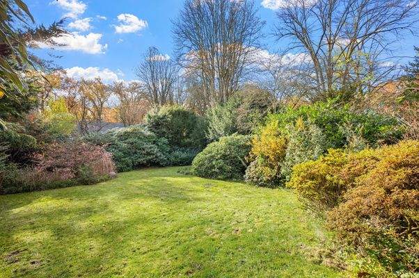 Alter Baumbestand und große Büsche