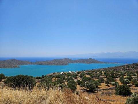 Kreta Bauernhöfe, Landwirtschaft, Kreta Forstwirtschaft