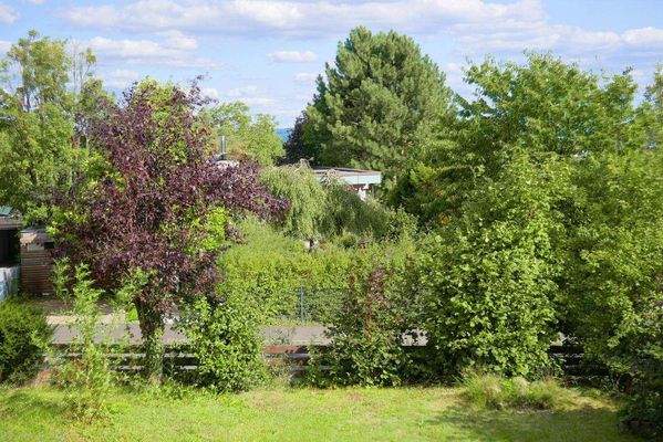 Weitere Gartenansicht