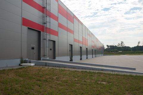 Mitterteich Halle, Mitterteich Hallenfläche