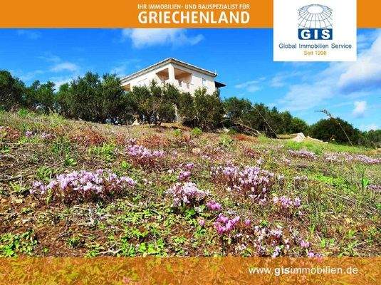 Grundstück und Haus von Südosten