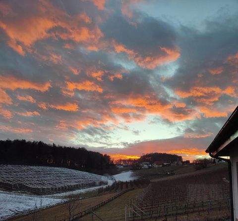 Nestelbach bei Graz Häuser, Nestelbach bei Graz Haus kaufen
