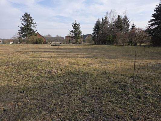 .........................