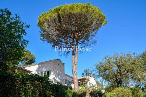 Antibes Häuser, Antibes Haus kaufen