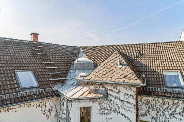 backbone_165661_017_WEB