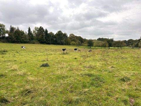Linnich / Boslar Bauernhöfe, Landwirtschaft, Linnich / Boslar Forstwirtschaft