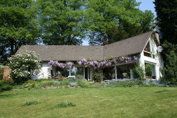 Rückseite im Sommer