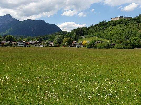 Blick aufs  Grundstück v Süden nach Norden