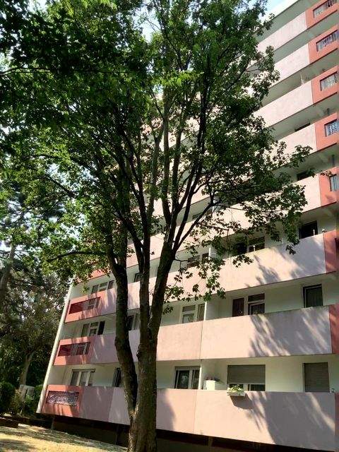 Frankfurt am Main Wohnungen, Frankfurt am Main Wohnung mieten