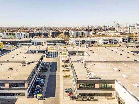 Düsseldorf Halle, Düsseldorf Hallenfläche