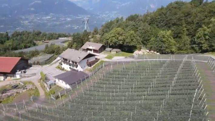 Vöran-Hof-traumhafteAussicht-Ruhe-Äpfel-Wiese-Kastanien-Südtirol-Meraner-Land-Stall-Scheune-Mühle-Beregnugn-Wasserspeicherbecken-Witschaftsgebäude-Bauernhof