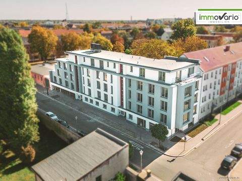 Magdeburg / Neue Neustadt Wohnungen, Magdeburg / Neue Neustadt Wohnung mieten