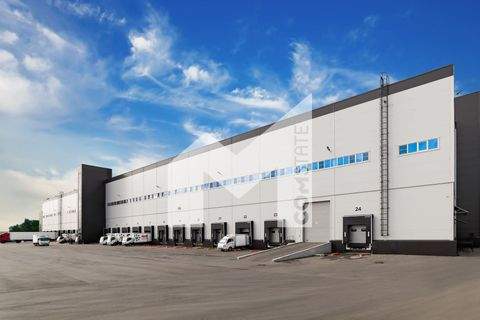 Datteln Halle, Datteln Hallenfläche