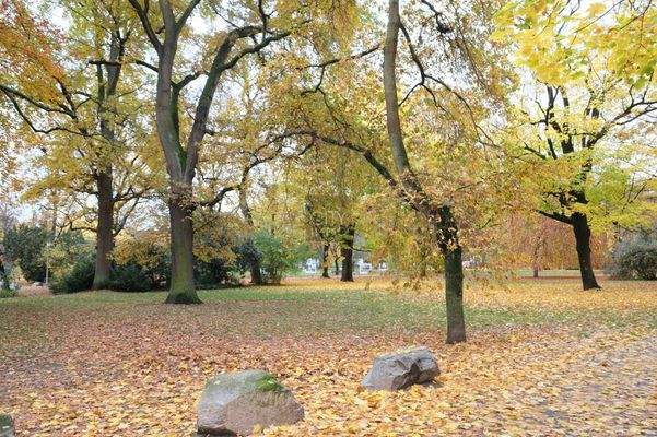 Direkt Am Stadtpark