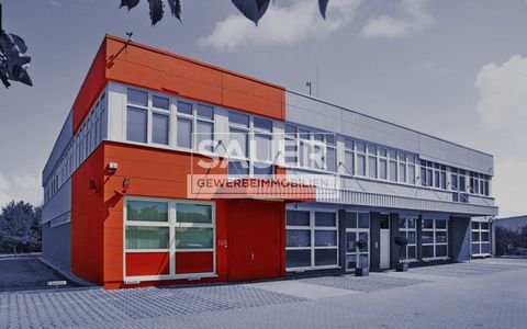 Dahlewitz Halle, Dahlewitz Hallenfläche