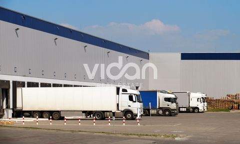 Bornheim Halle, Bornheim Hallenfläche