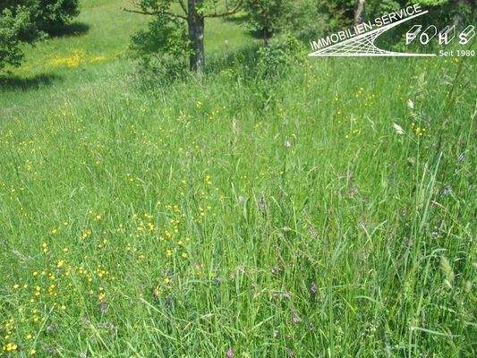 -Bad-Überk.Flur 220-4=3.245 m²Hinter dem Weiler 1 