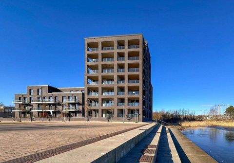 Schleswig Renditeobjekte, Mehrfamilienhäuser, Geschäftshäuser, Kapitalanlage