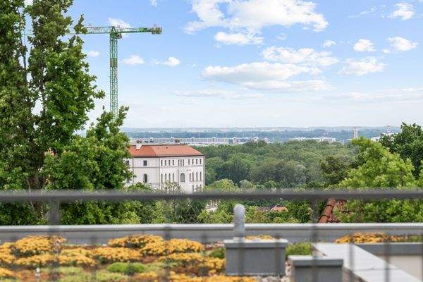 Terrasse (3) Blick Domberg