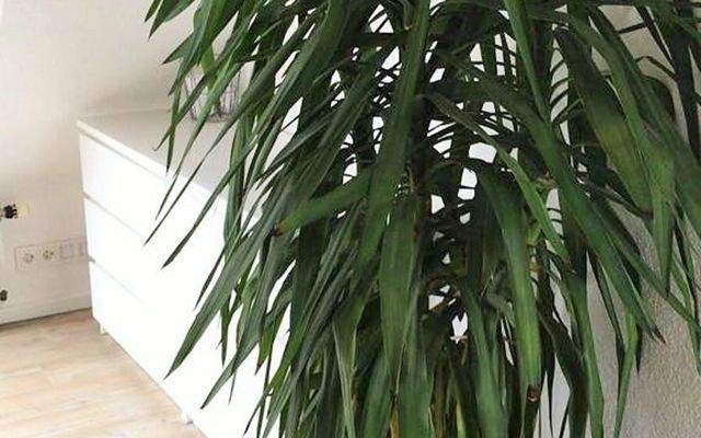 Ferienwohnung Backnang wohn 3.jpeg