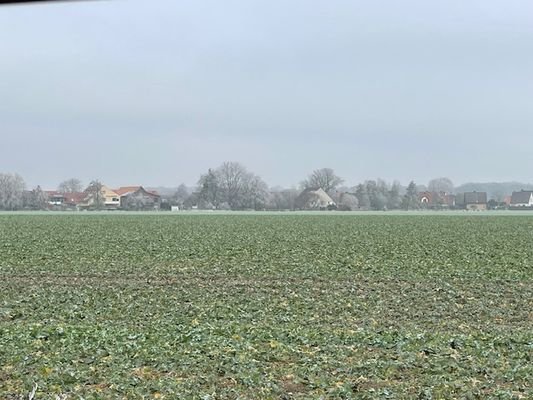 Blick aufs Feld