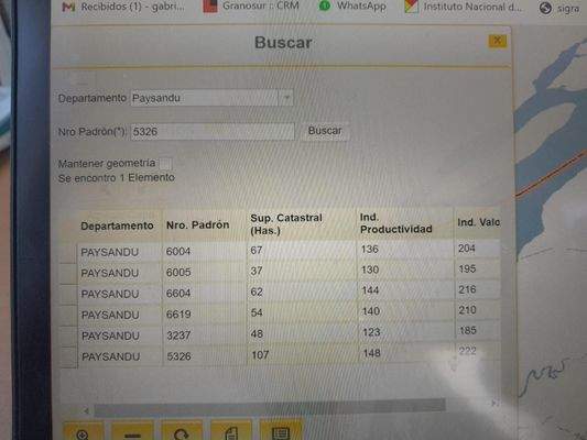 5 Campo San Felix Paysandu Uruguay.jpg