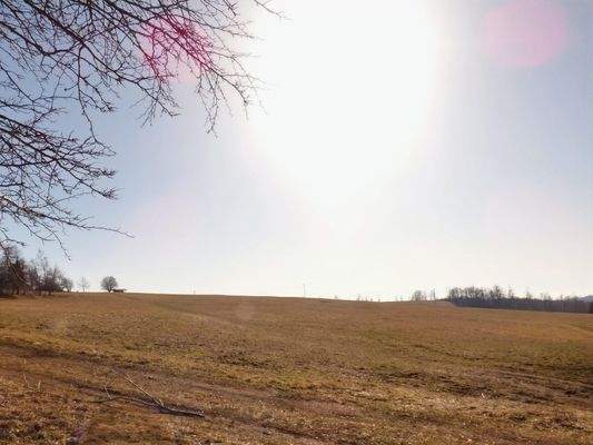 Blick auf Wiesen und Felder