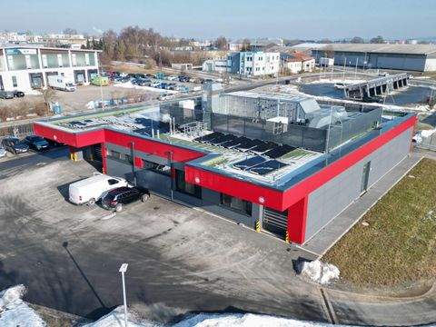 Hof Halle, Hof Hallenfläche