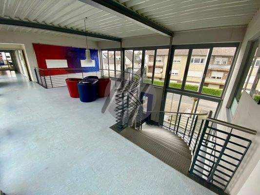 INFOS UNTER: 06171-586000