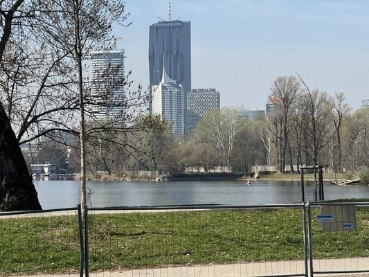 Nur 20 m vom Ufer der unteren alten Donau