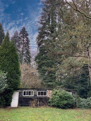 Gartenhaus mit Baumbestand