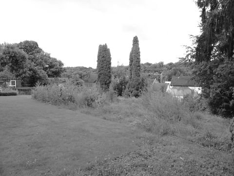 Nieder-Hilbersheim Grundstücke, Nieder-Hilbersheim Grundstück kaufen