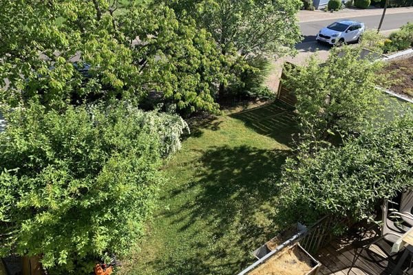 Blick in den Garten