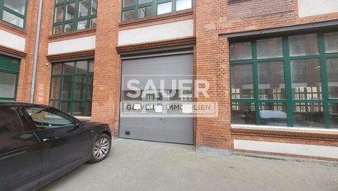 Berlin Halle, Berlin Hallenfläche