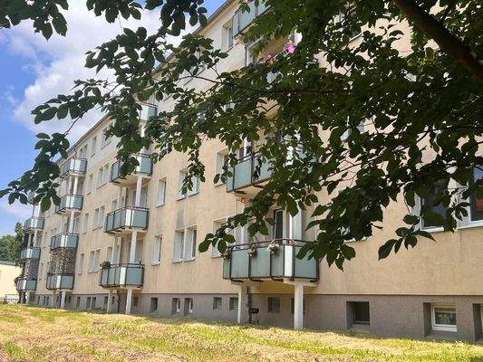 Herzlich Willkommen im Albert-Schweitzer-Ring