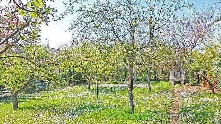 Garten am Parkplatz.jpg