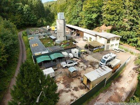 Frankenstein Häuser, Frankenstein Haus kaufen