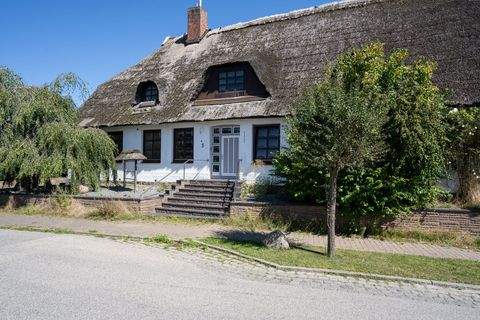 Schashagen Wohnungen, Schashagen Wohnung mieten