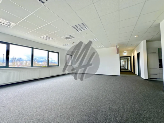 INFOS UNTER: 06171-586000