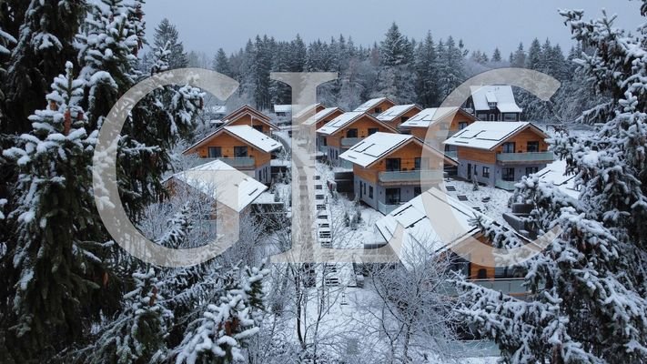 Feriendorf Hahnenklee Ansicht Hang unten