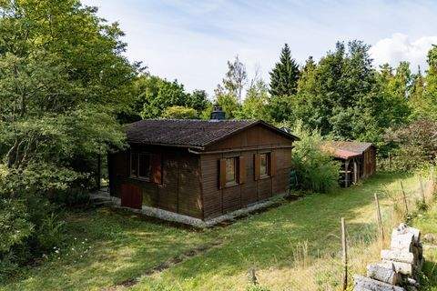 Waldalgesheim Häuser, Waldalgesheim Haus kaufen
