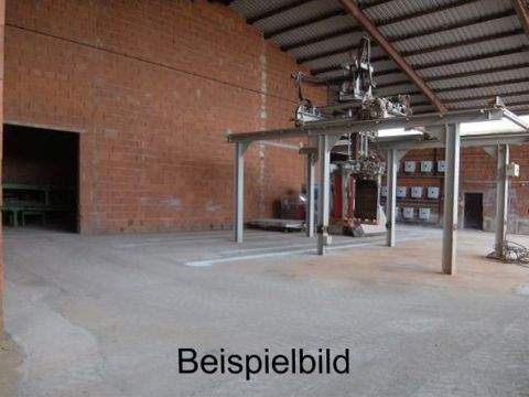 Biburg Halle, Biburg Hallenfläche