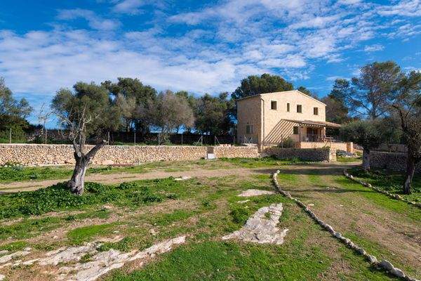 Großes Grundstück mit Olivenbäumen und typisch mallorquinischer Vegetation